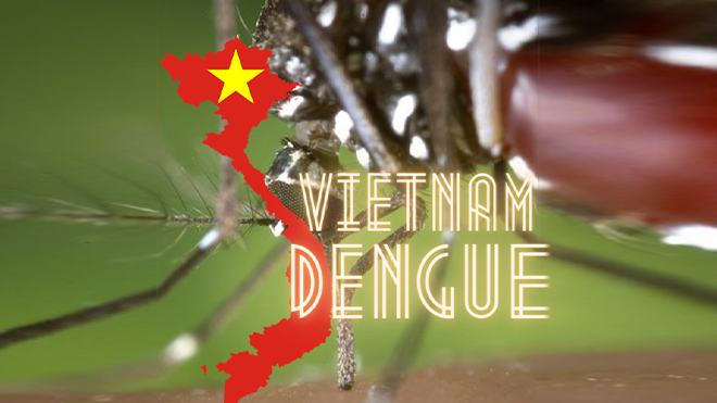 Vietnam dengue cases top 300K in 2022